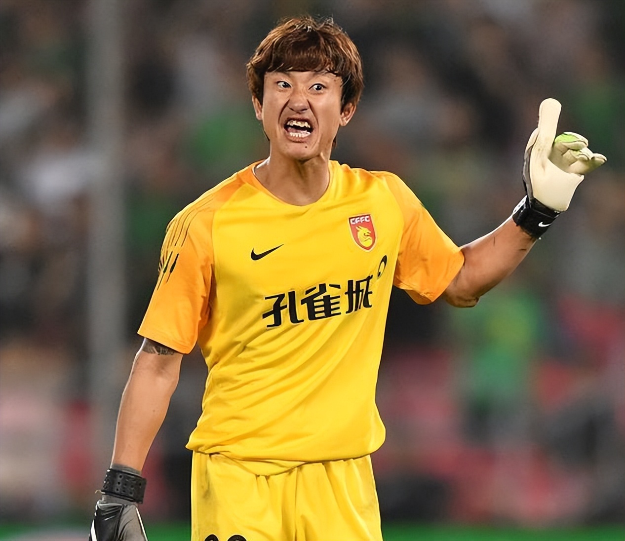 吉林东北虎历届后卫,吉林东北虎阵容