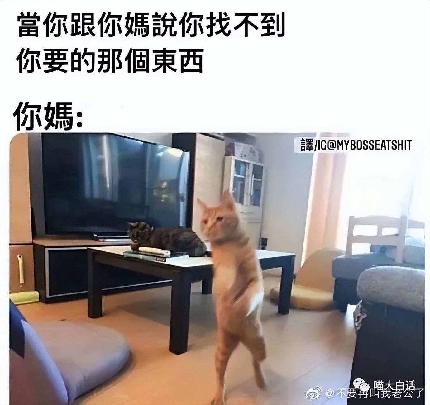 曝光被骗的聊天记录搞笑,曝光聊天记录事件