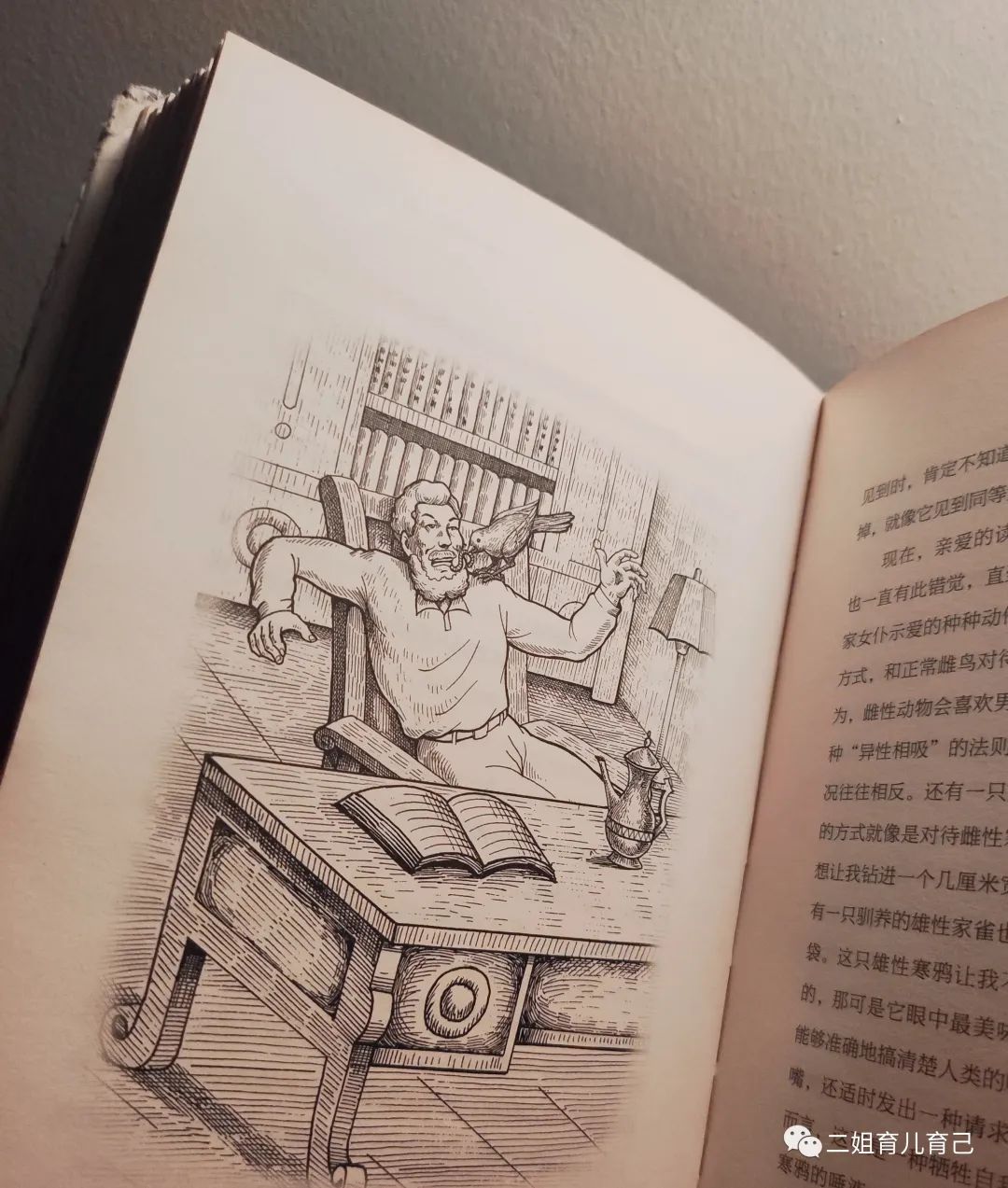 所罗门王和他的魔戒,所罗门王的魔戒的第七个谜题