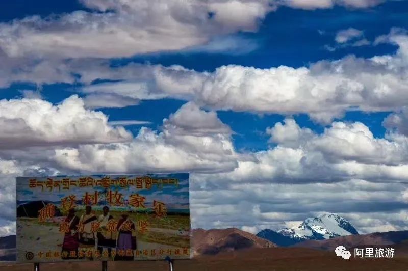 西藏最近很火的大地之树,网红大地之树