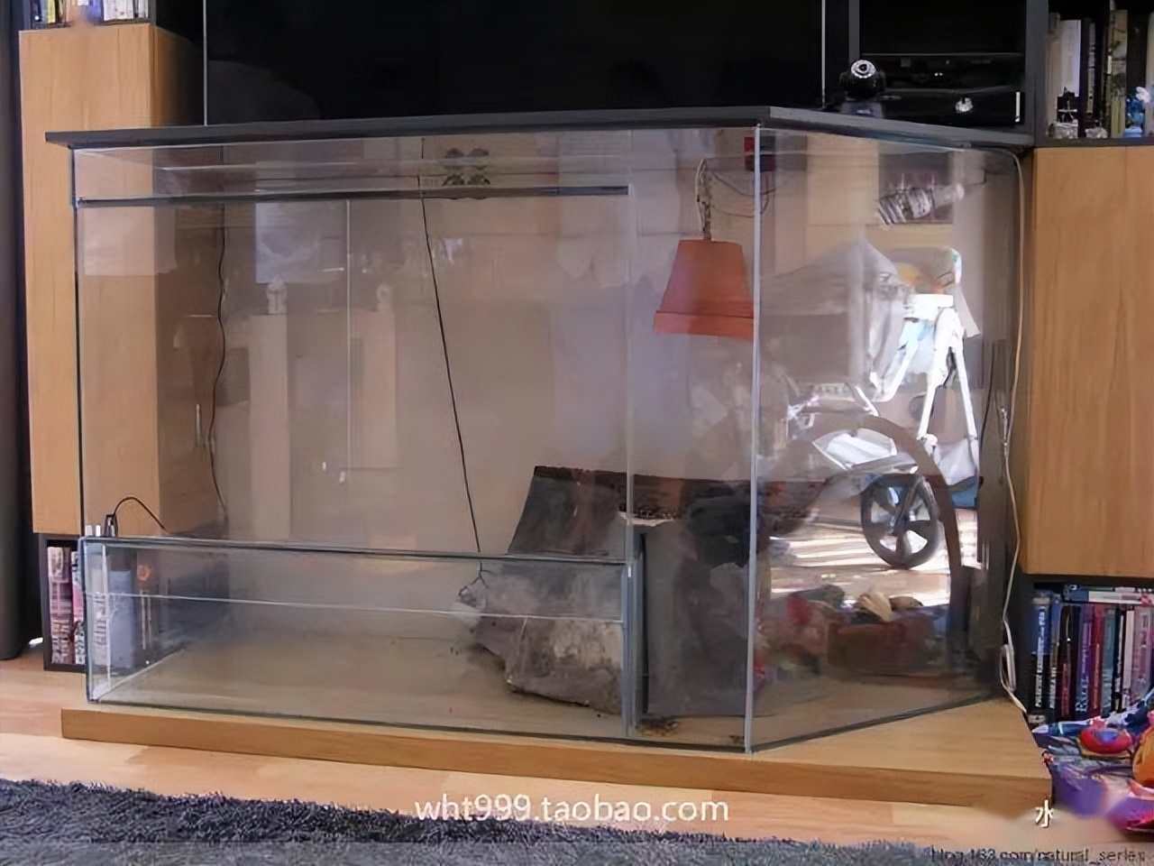 雨林缸超小,雨林缸电视柜