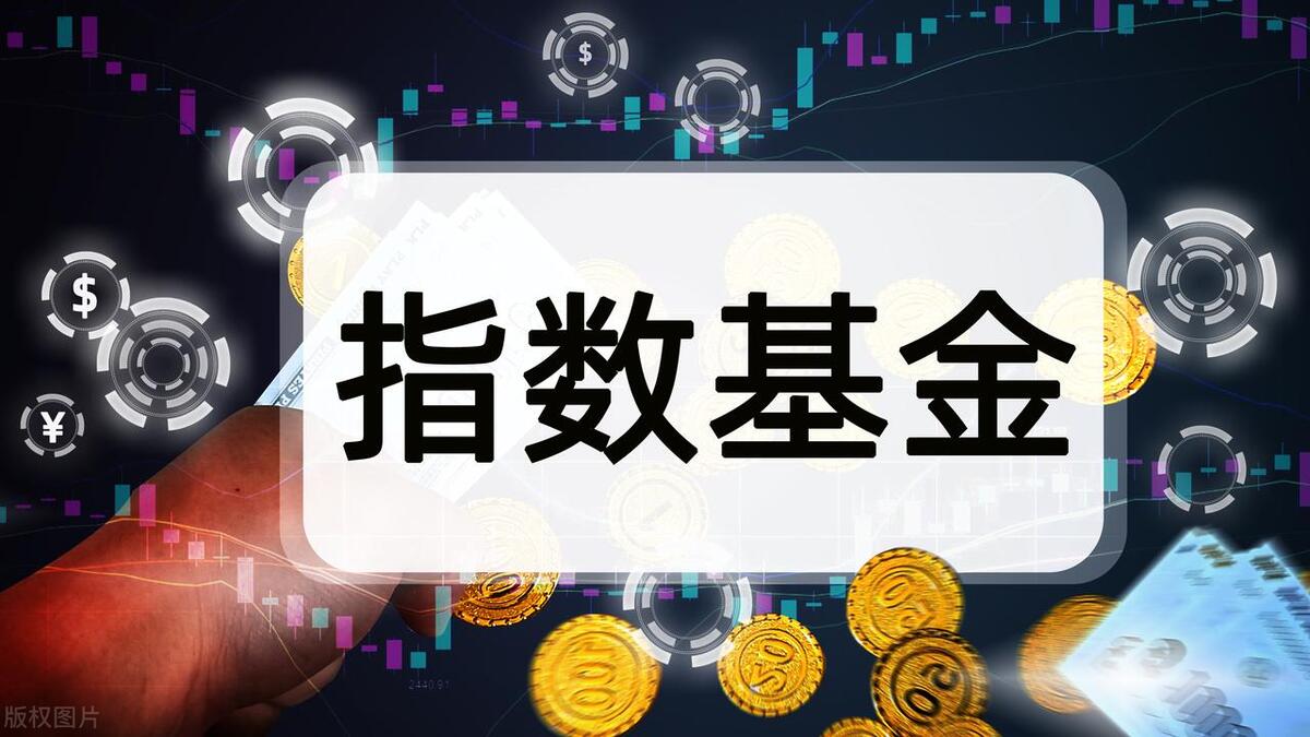 什么叫指数基金的最高价格,什么叫指数基金和股票
