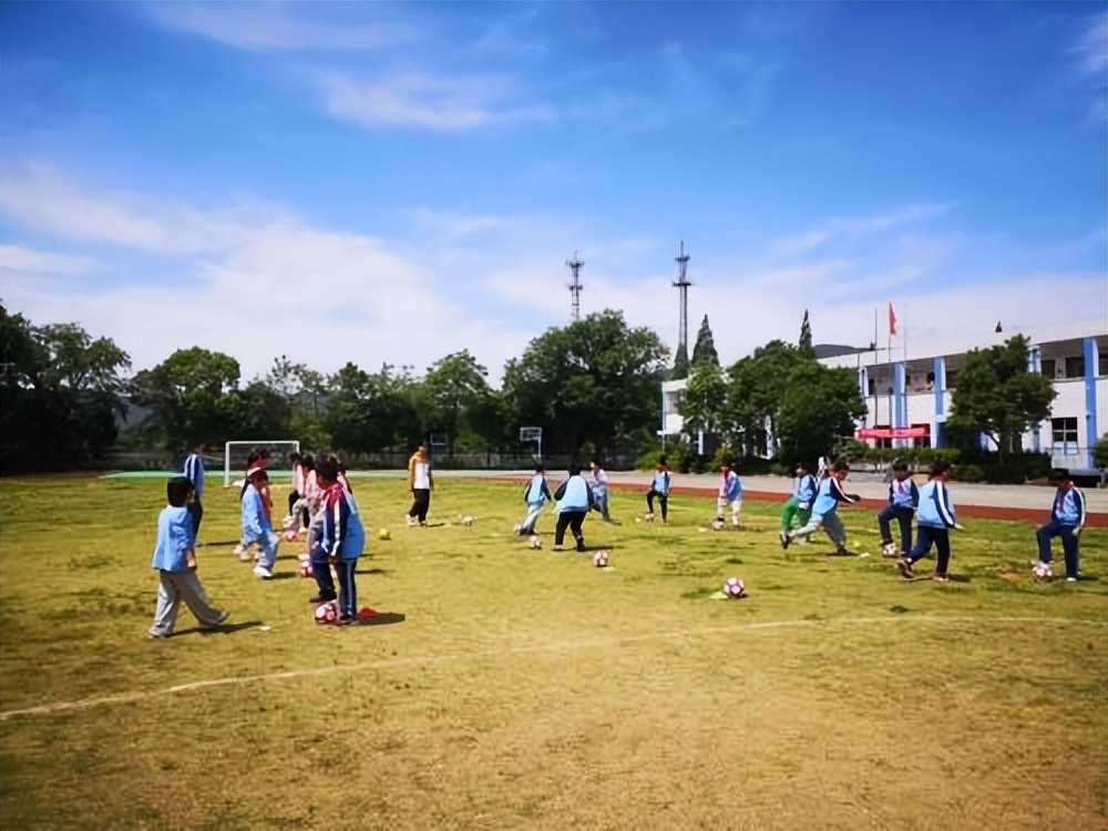 足球助力乡村振兴,乡村振兴的研学方案