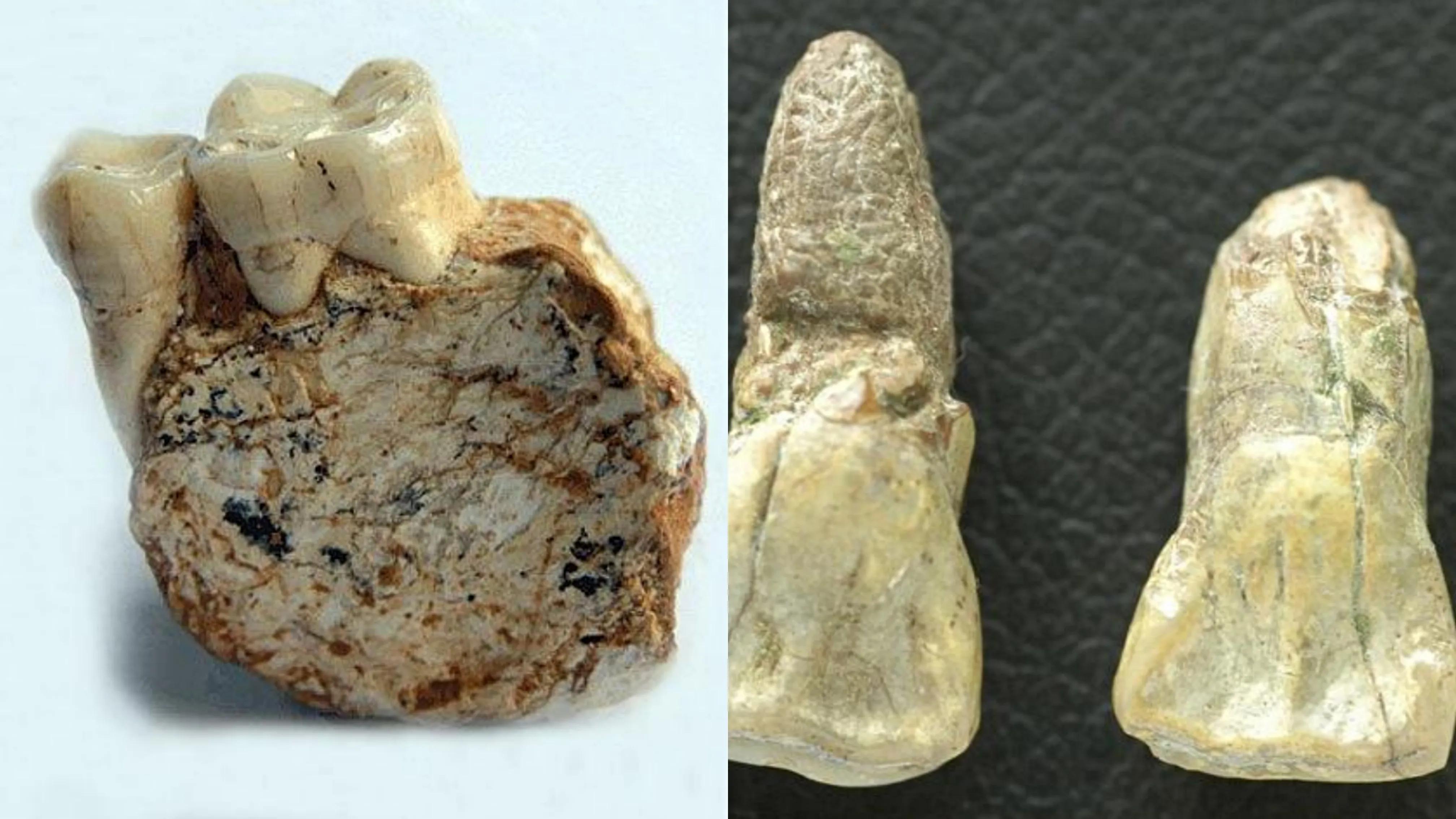 世界上最早的人类在哪个国家,世界上最早出现的人类在哪个洲