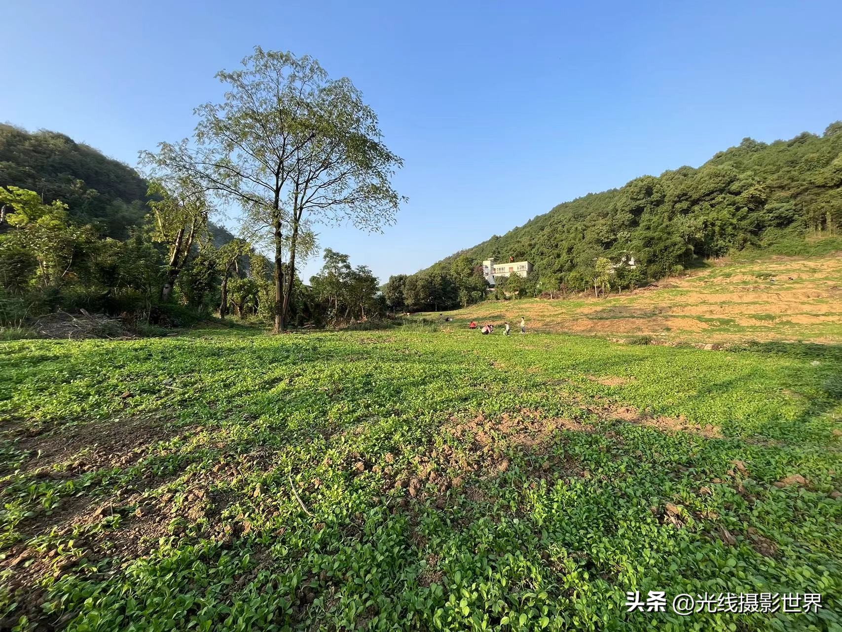 花博园露营详细攻略,重庆森林露营地推荐