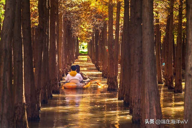 到云南昆明旅游必去的景点有哪些,云南香格里拉旅游攻略必去景点