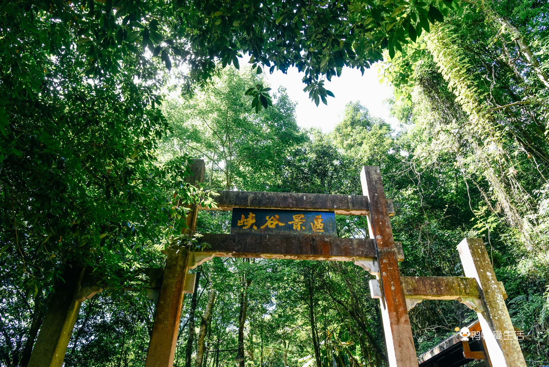 泰顺三大温泉哪个最好,浙江泰顺天然温泉度假村排名榜