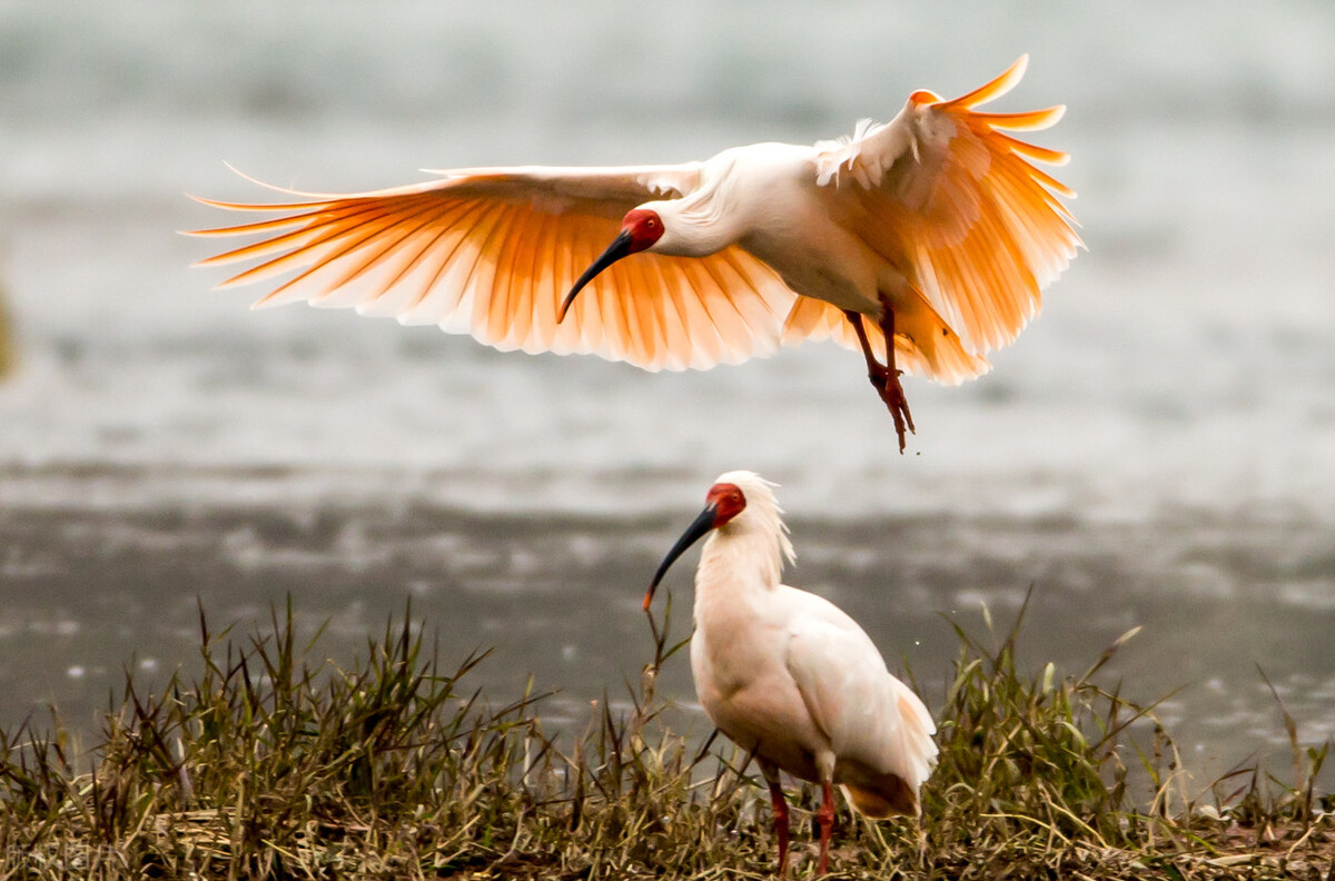 各个国家的国宝大全,世界上的各个国家的国宝