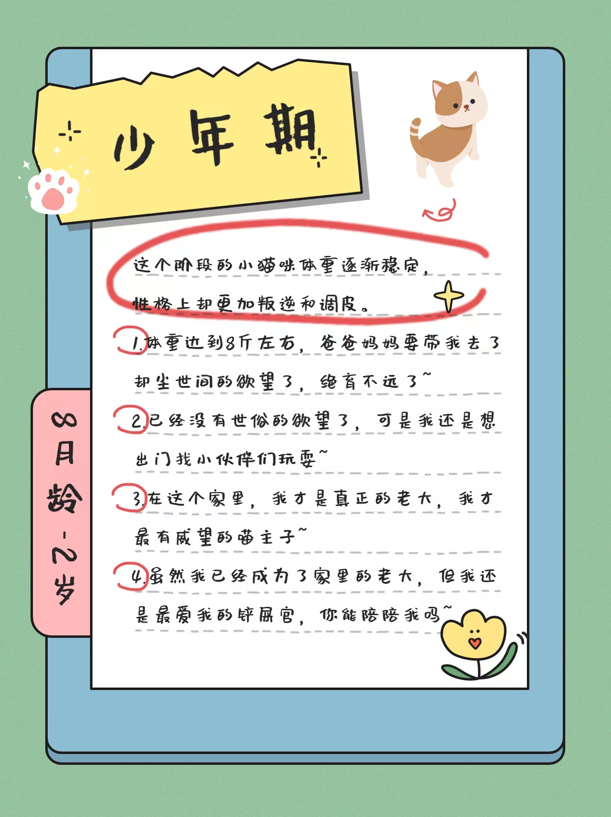 猫的一生详细讲解,猫的一生在想什么