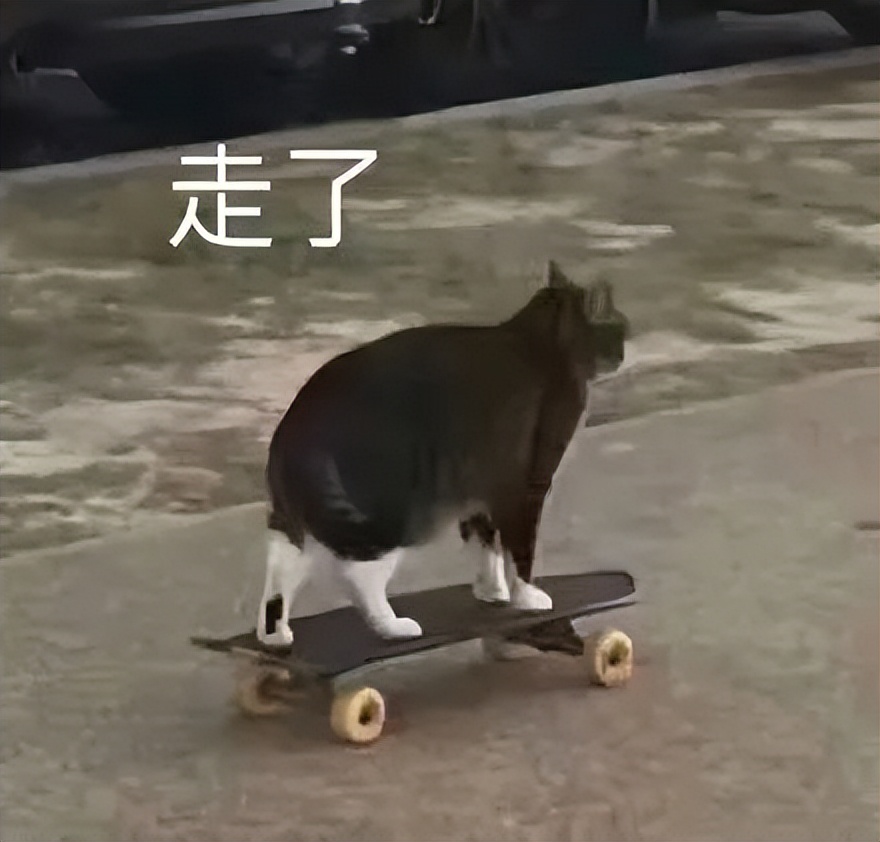 谁懂啊，一年级的小朋友想当“热狗侠”，我哭得鼻涕一把泪一把