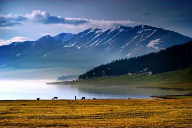 这条惊艳奇绝的公路,行走在天山脊梁上的最美景观公路