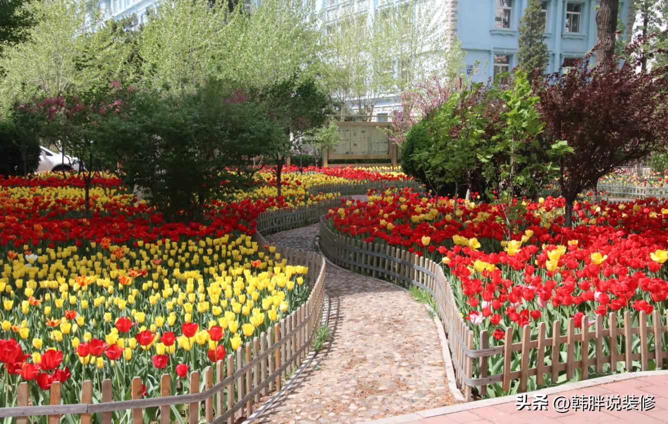 风水四象代表什么运势,家中有三象子孙出贵人