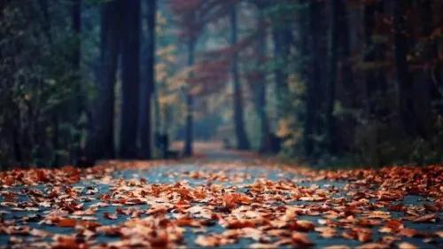 2022年十大网络流行词,2022网络十大流行词之首