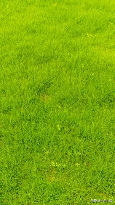 最美的手机壁纸大全,养眼养心的壁纸