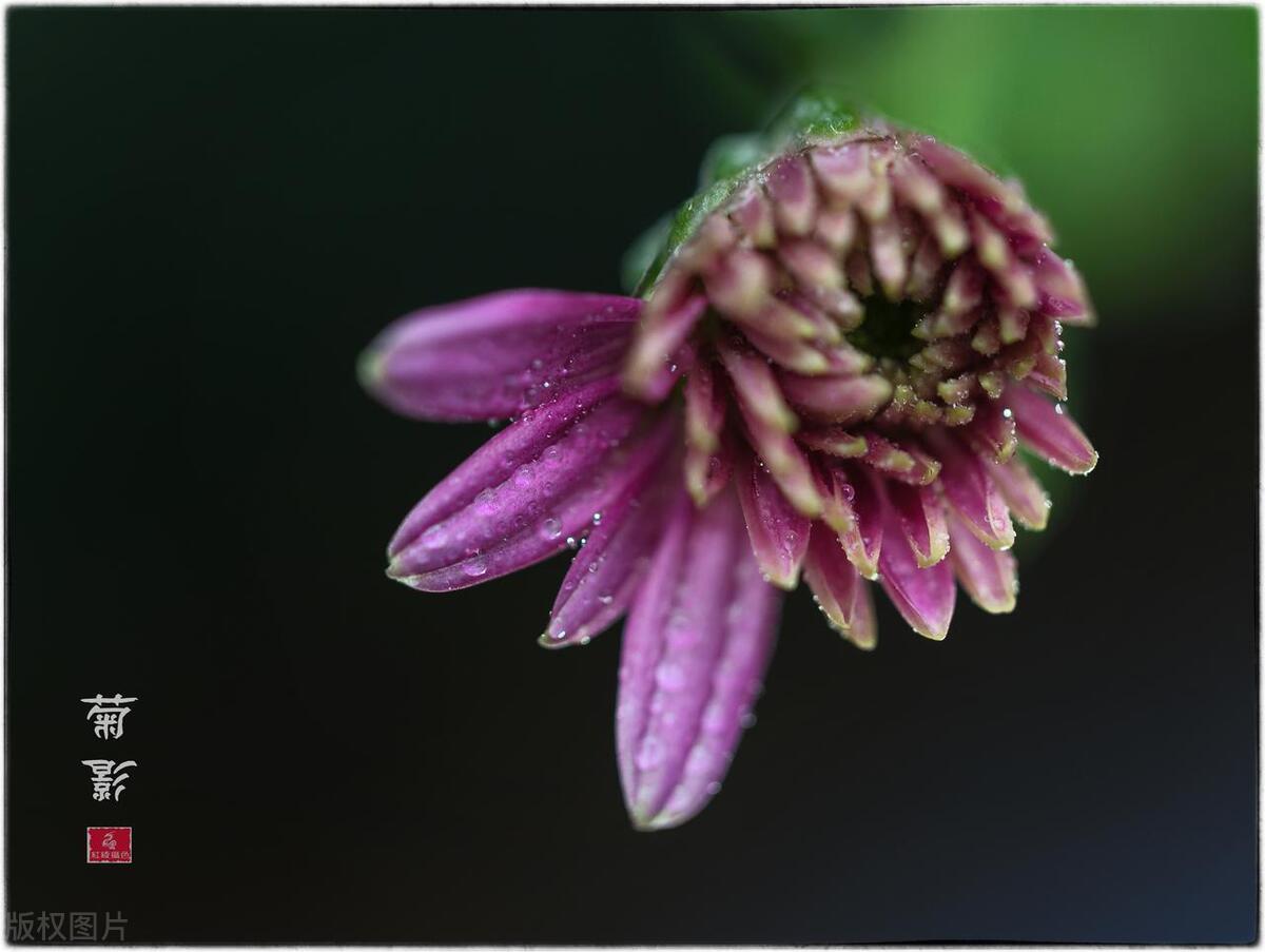 男人删除女人微信还能挽回吗,男朋友把我删除了还能挽回吗