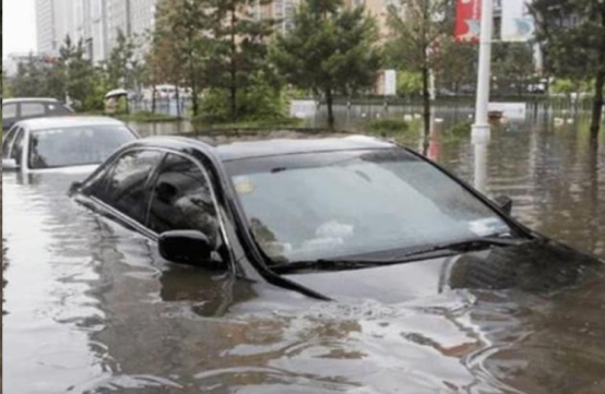 特价泡水二手车交易市场,浙江二手车市场价格20万