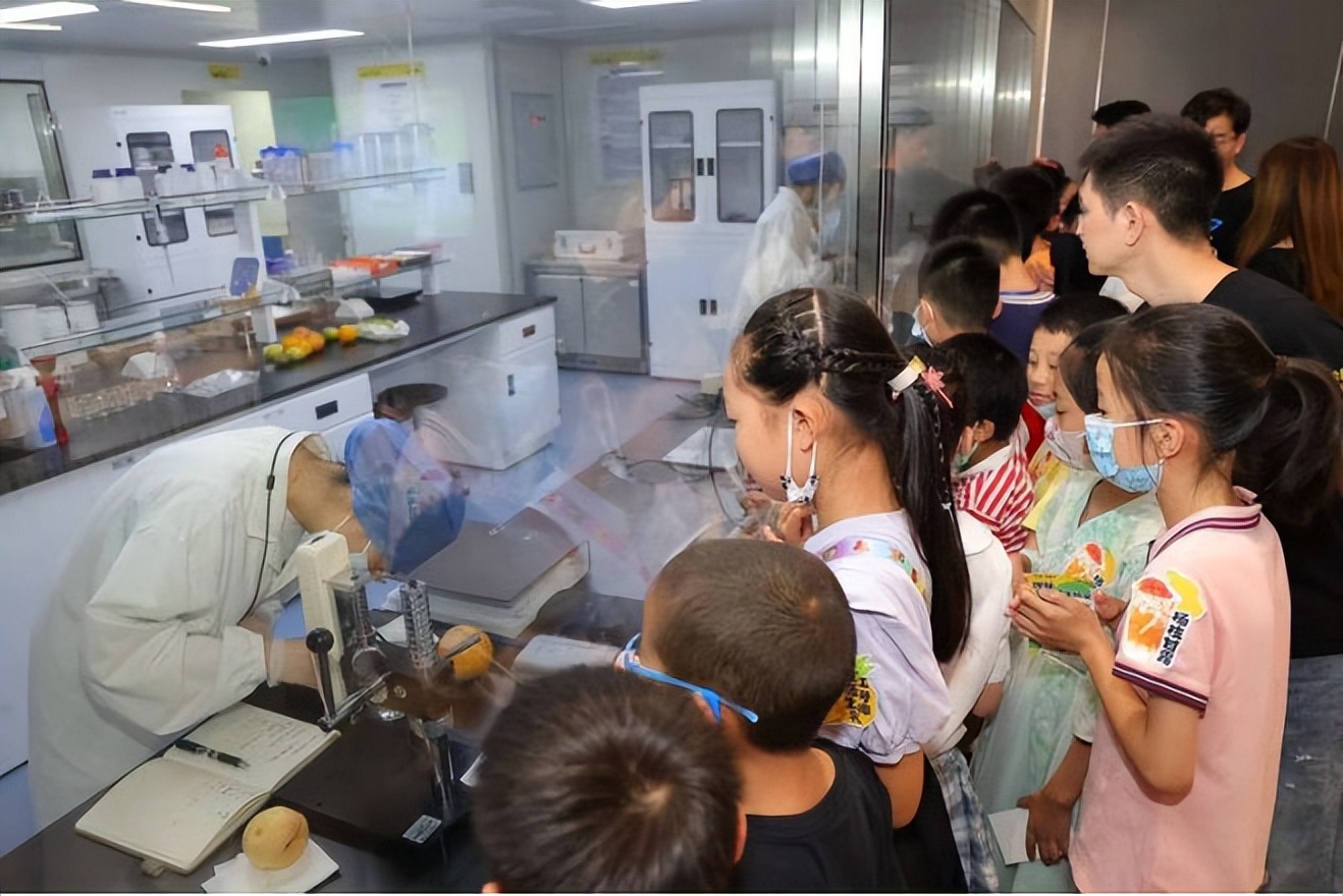 夏日爆品杨枝甘露,杨枝甘露最好的单品