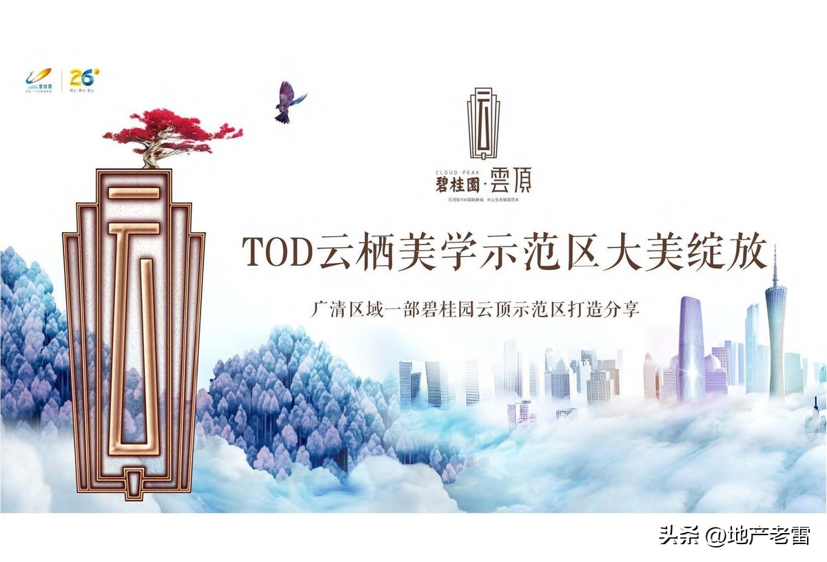 碧桂园楼盘设计方案,碧桂园主体样板展示区