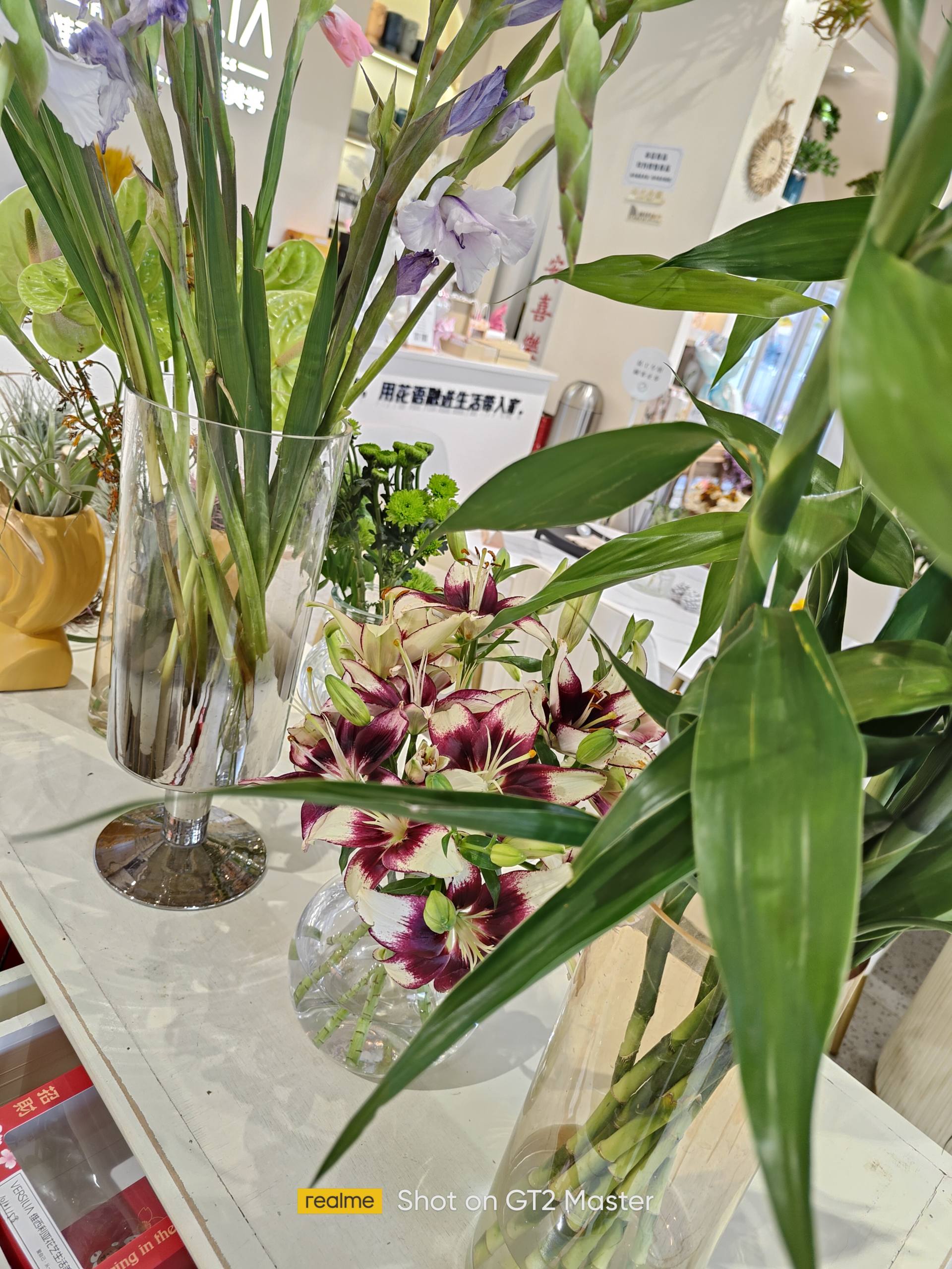 真我gt2大师探索版最新评测,真我gt2大师探索版评测最新