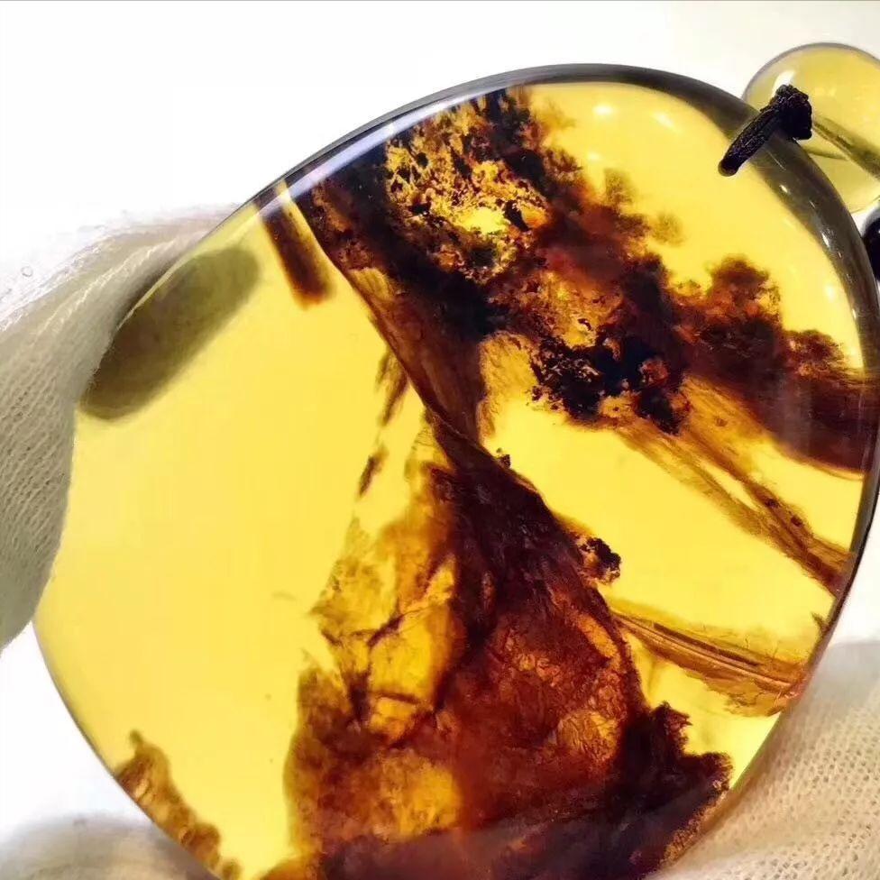 千年琥珀和万年蜜蜡哪个好,千年的蜜蜡万年的琥珀是什么