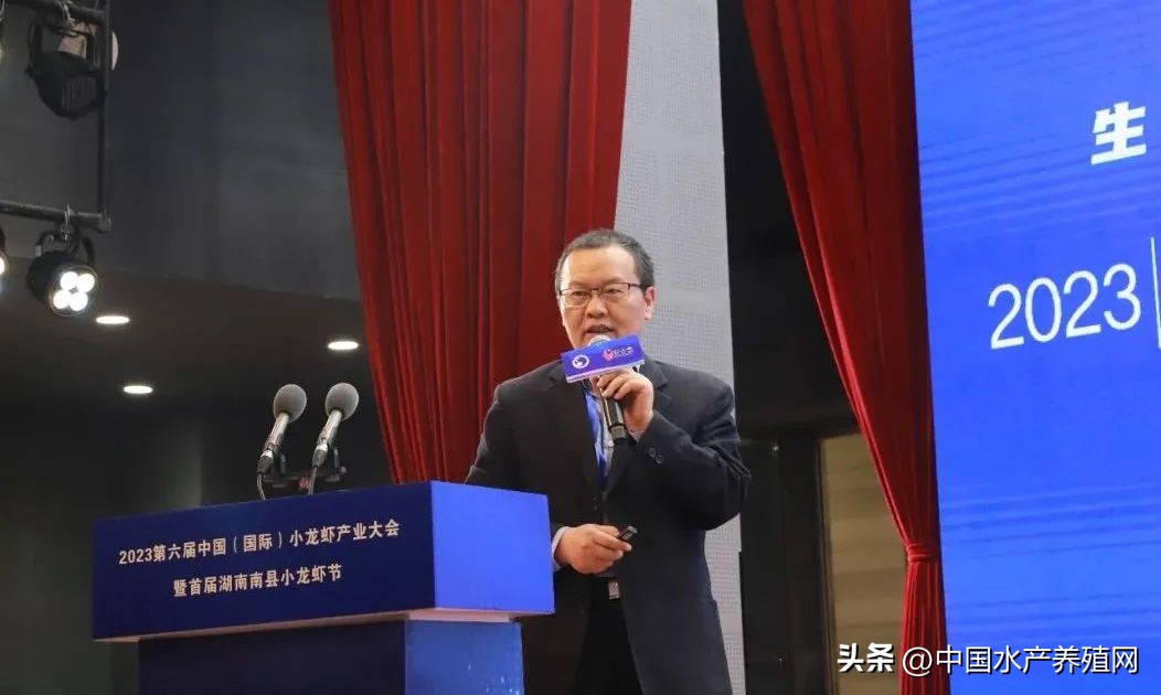 2023年南县小龙虾价格行情,南县小龙虾价格报价