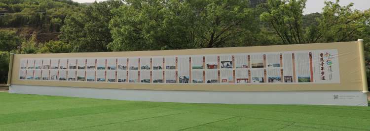 济南3-4月份赏花适合去哪里旅游,五一济南哪里好玩