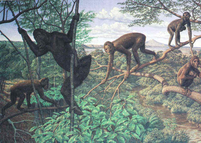 30年前人人都有虱子为啥现在消失,20年前的虱子为什么消失了科普