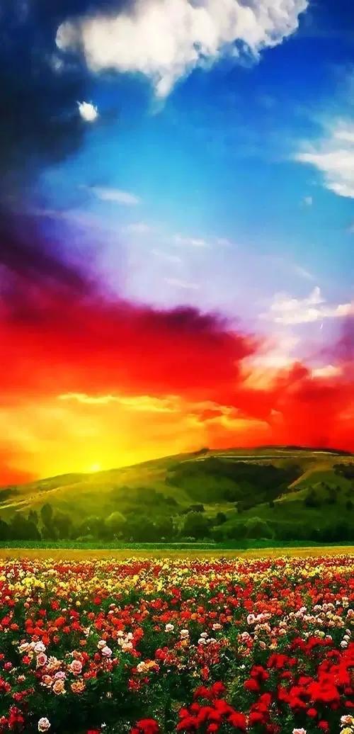 如何提升自己的气质系列动作,如何提升自己的气质