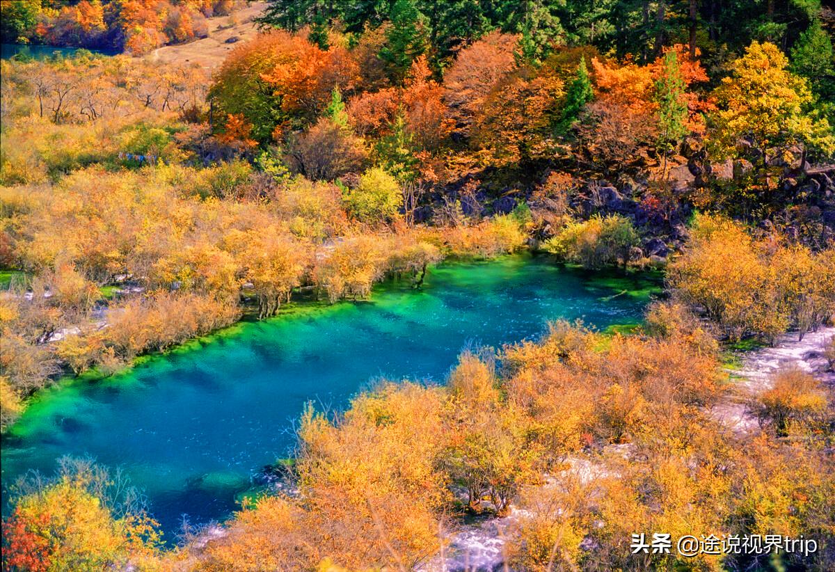 人间仙境的九寨沟,人间仙境九寨沟风景如画美不胜收