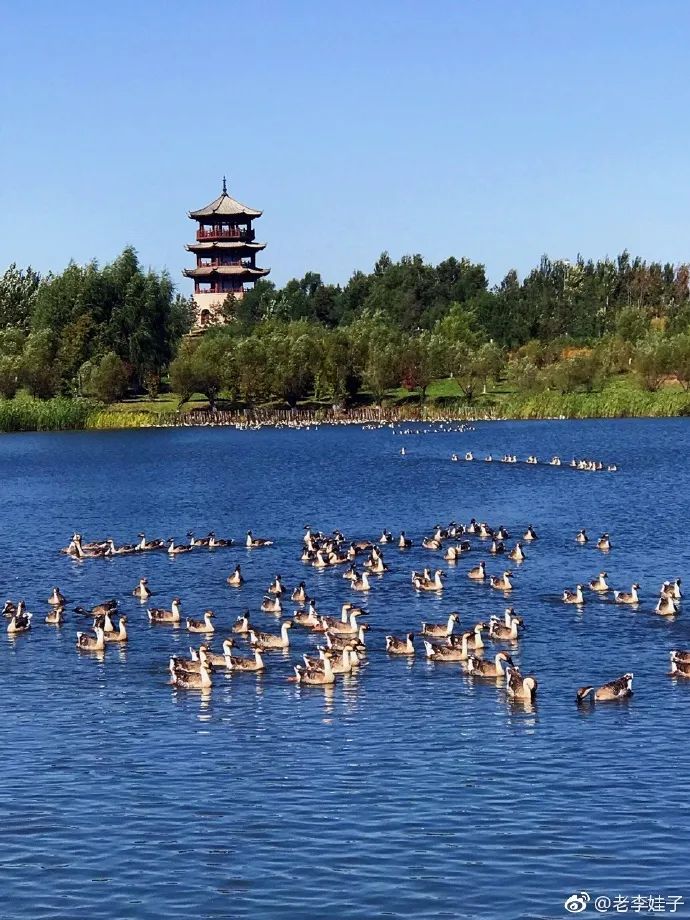 长春519免票景点,长春旅游特价门票