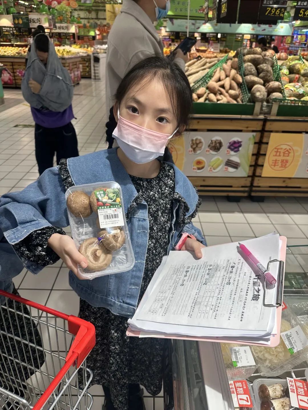 暑期数学综合实践活动小学,小学数学综合实践活动信息报道