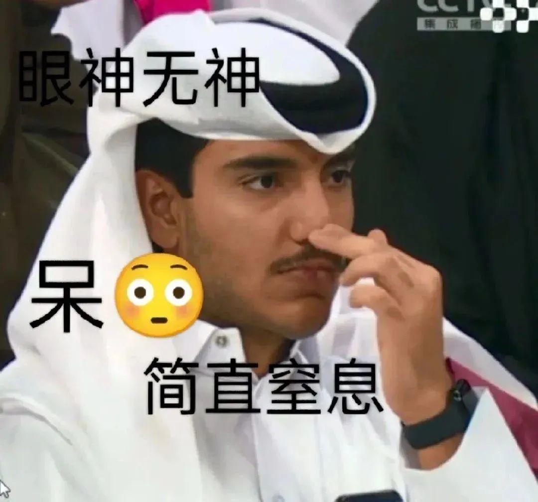 卡塔尔15岁小王子表情包,卡塔尔小王子气出表情包原视频