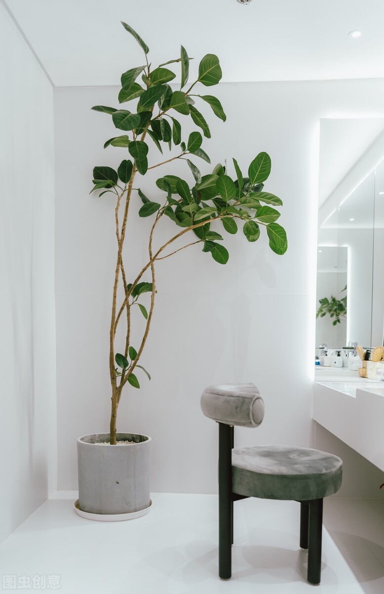 开花店新手怎么入行,新手开花店需要准备多少钱