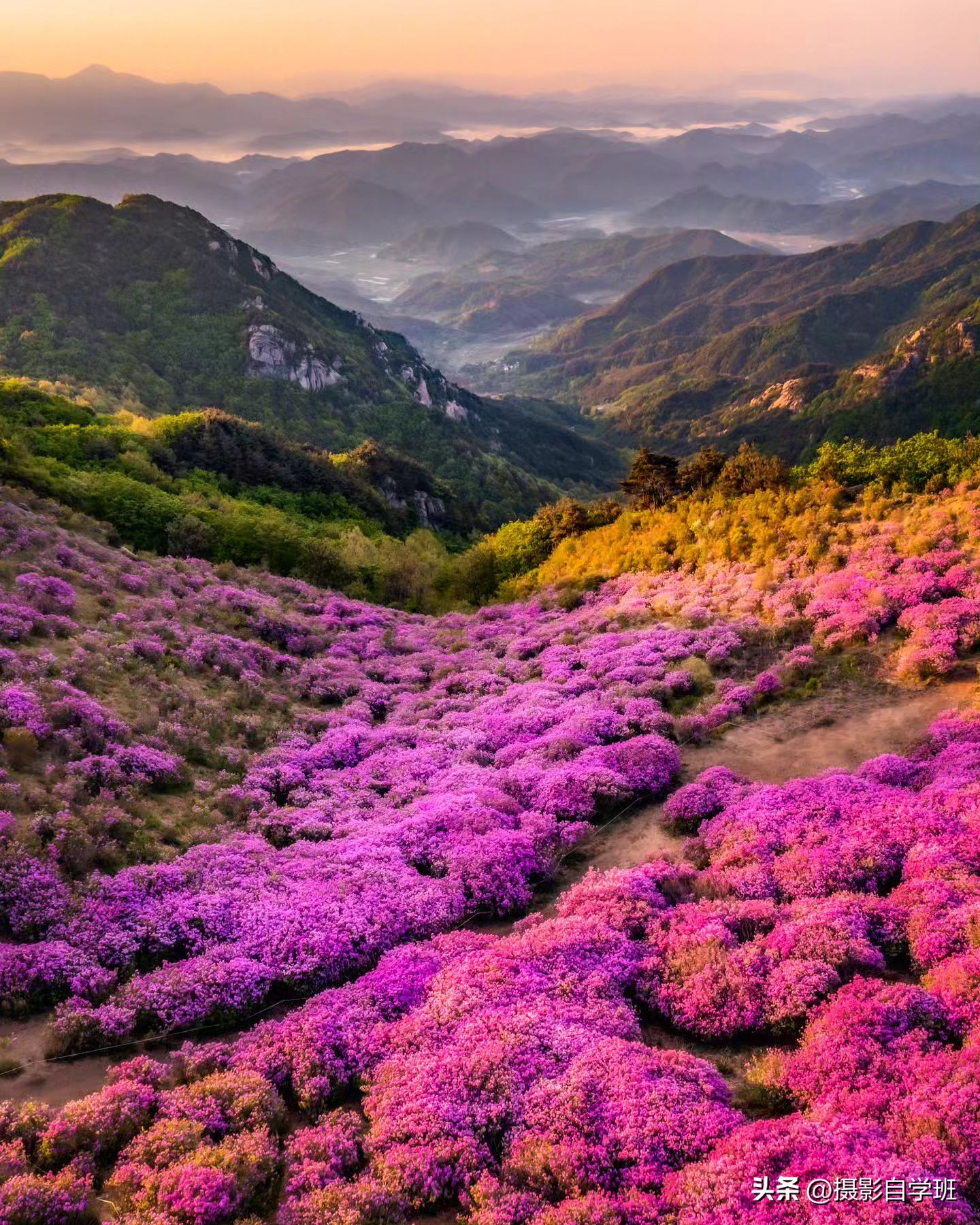 夏天怎么拍照更有夏天感觉,如何拍好夏天的照片