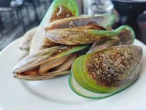 写给不被疫情束缚的心:用文字“云”游新西兰全境