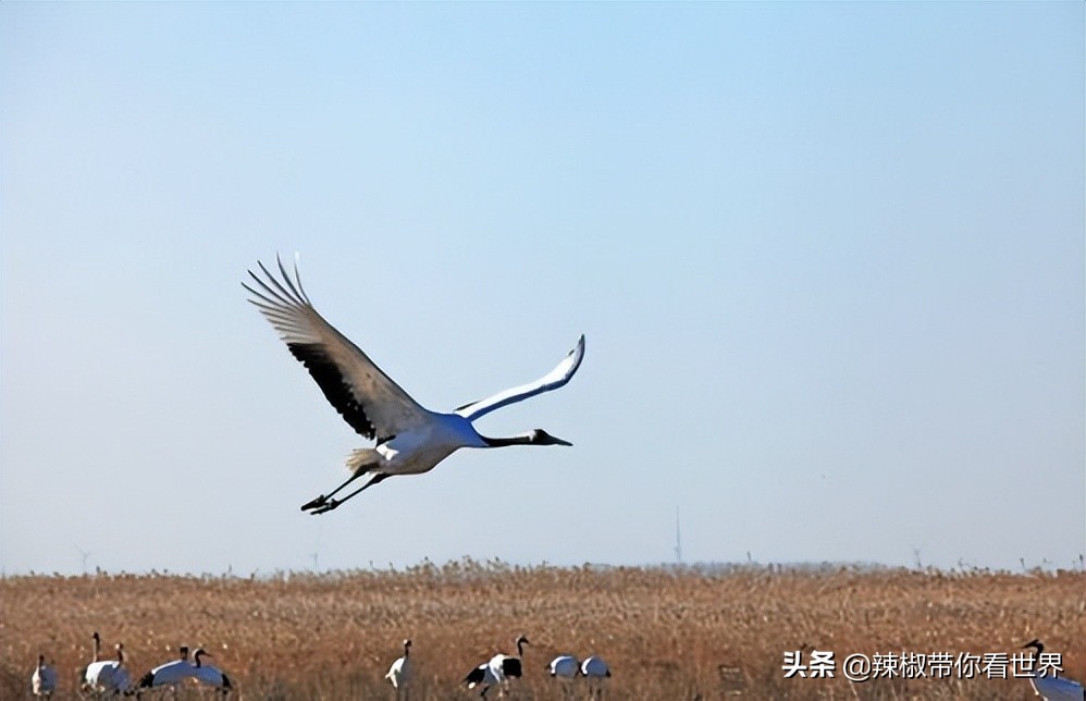 盐城最大的海边城市,盐城海岸线为何一直延伸