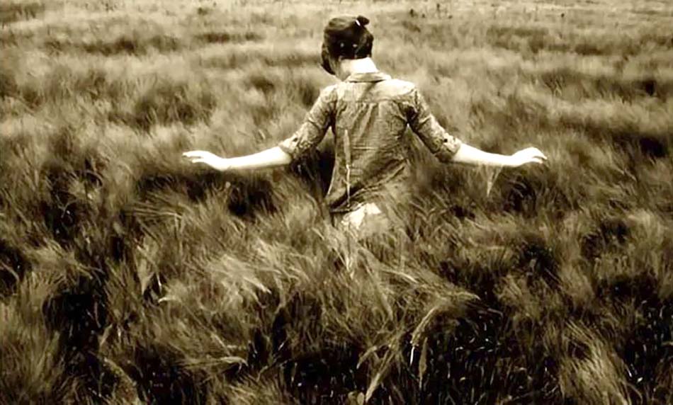 「知青系列小说」与荒原亲吻的日子（九）插曲、放不下的拓荒情