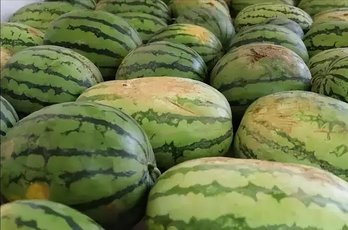 “公伏热死牛，母伏爬墙头”，2023年是公伏还是母伏？为啥爬墙头