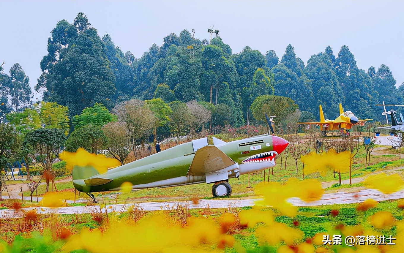 成都双流空港花田看花的时节,成都双流粉黛花海