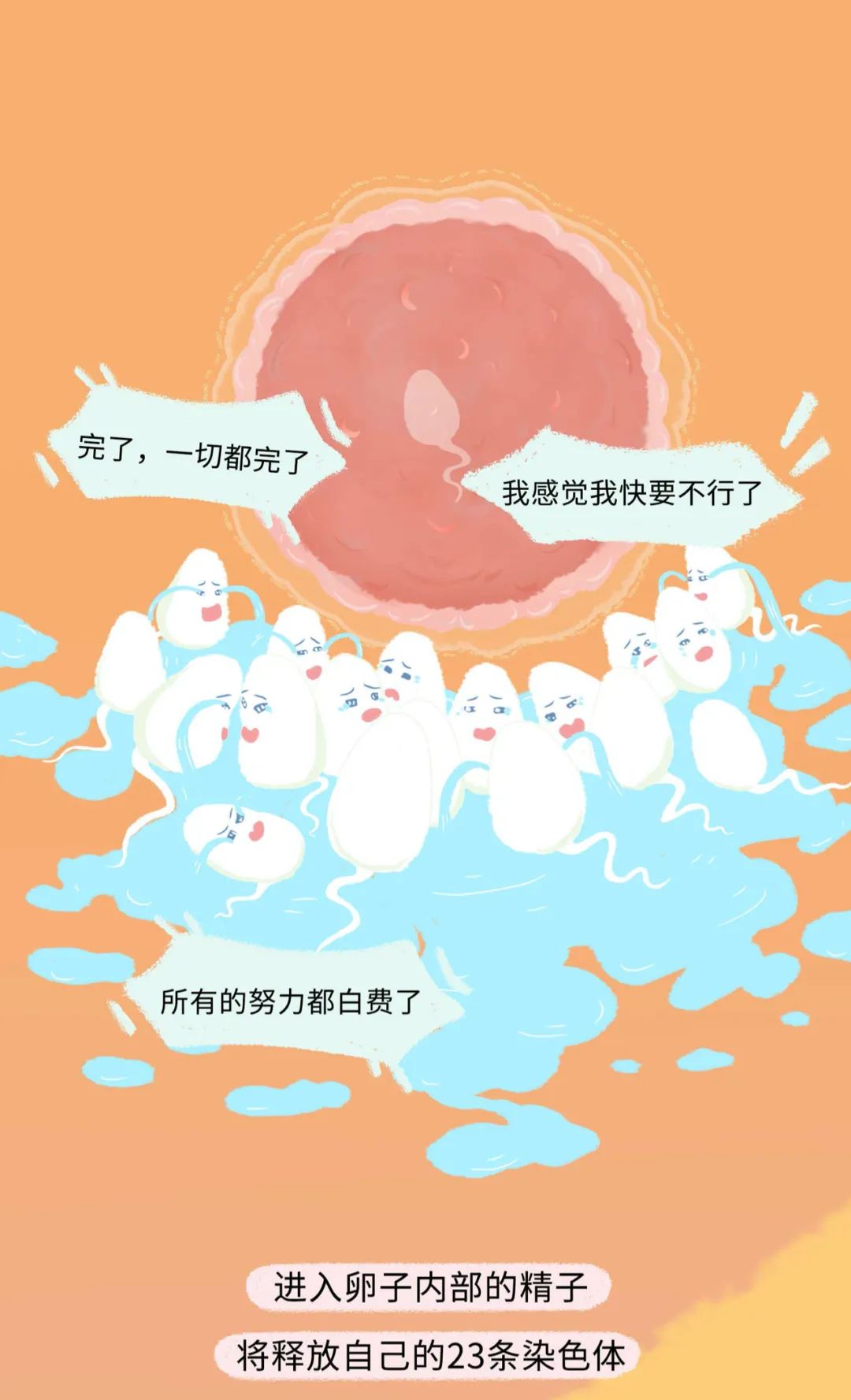 精子进入女生体内的全过程曝光！不要再傻傻不清楚