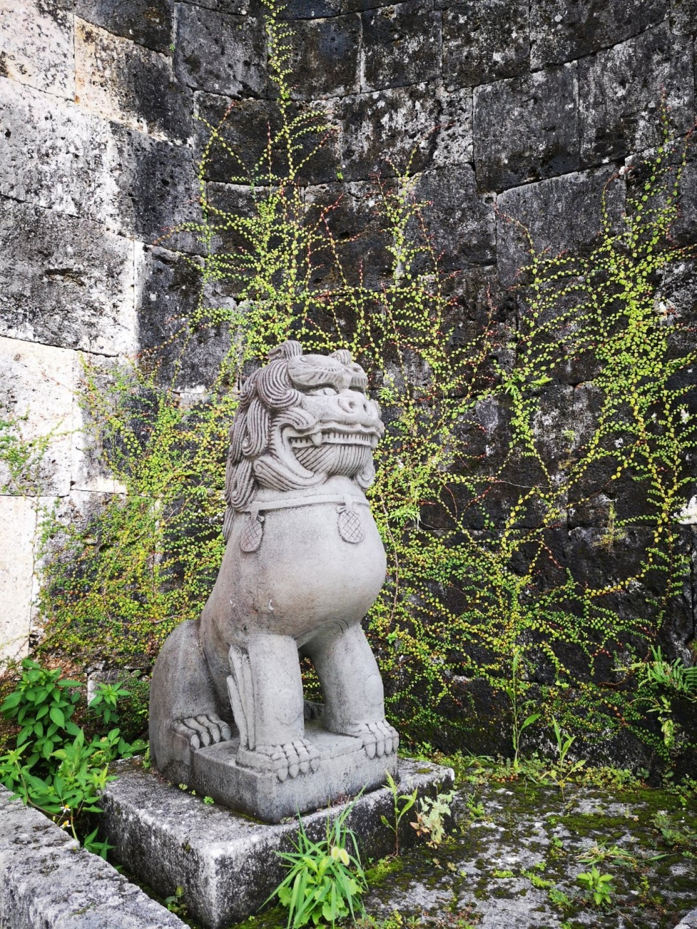 暑期档2019年,2019年暑期档