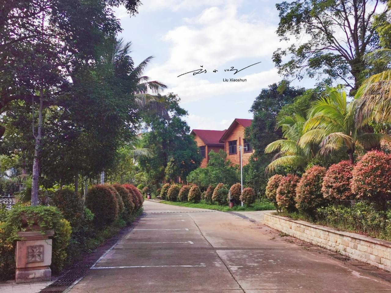 三亚的森林公园是哪个,海南三亚森林公园