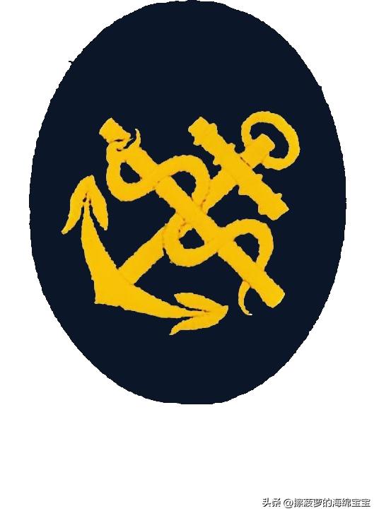 二战德国国防军医疗兵军衔标志