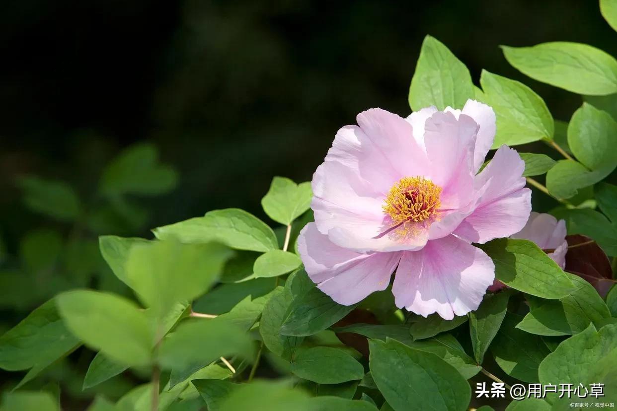 涂磊曾经说离婚原因,涂磊说有多少人说三观不合就分手