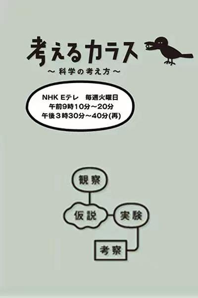 适合2-6岁儿童观看的纪录片,海洋纪录片免费观看儿童