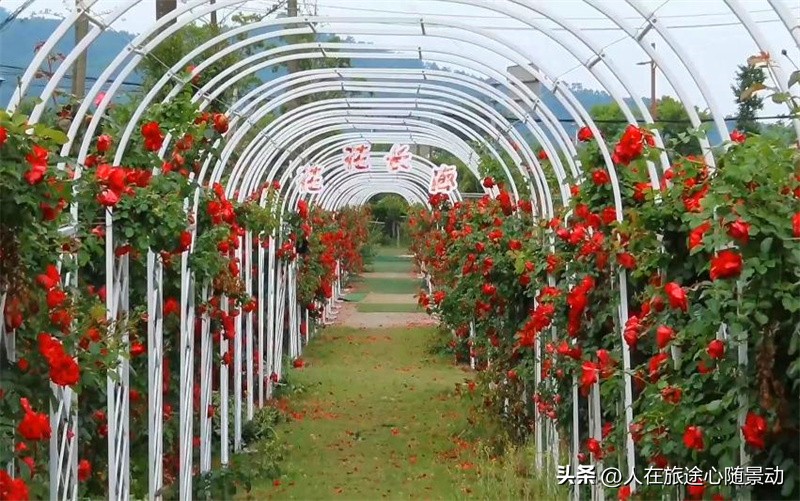 宁波东钱湖没人的地方,宁波东钱湖哪个景点风景最好