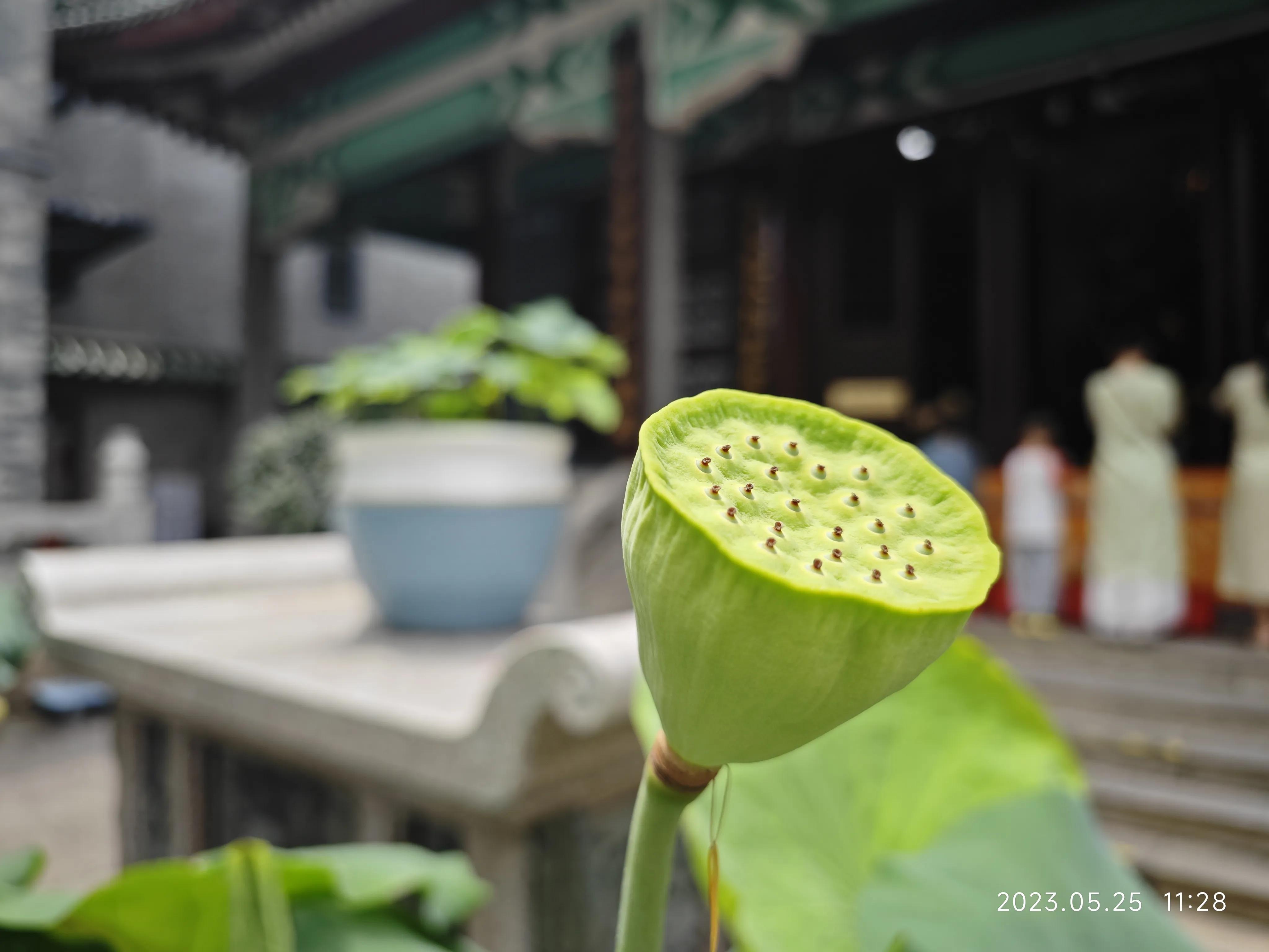 广州六榕寺求什么最灵,广州六榕寺传奇的寺庙
