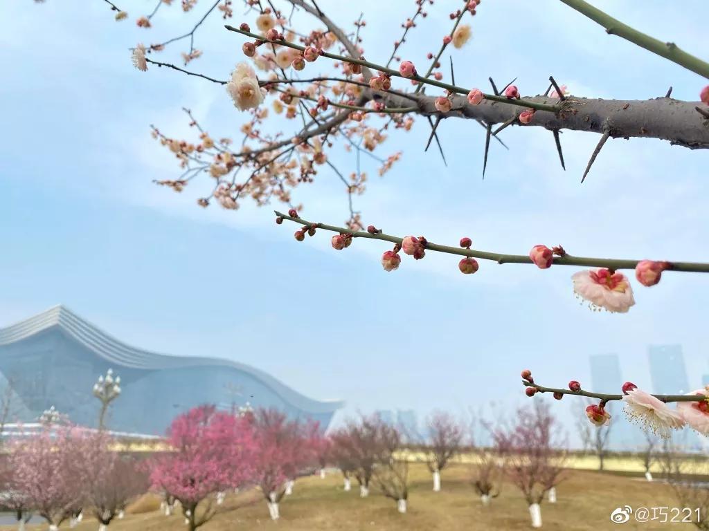 成都地标建筑及网红打卡景观,成都新打卡网红地