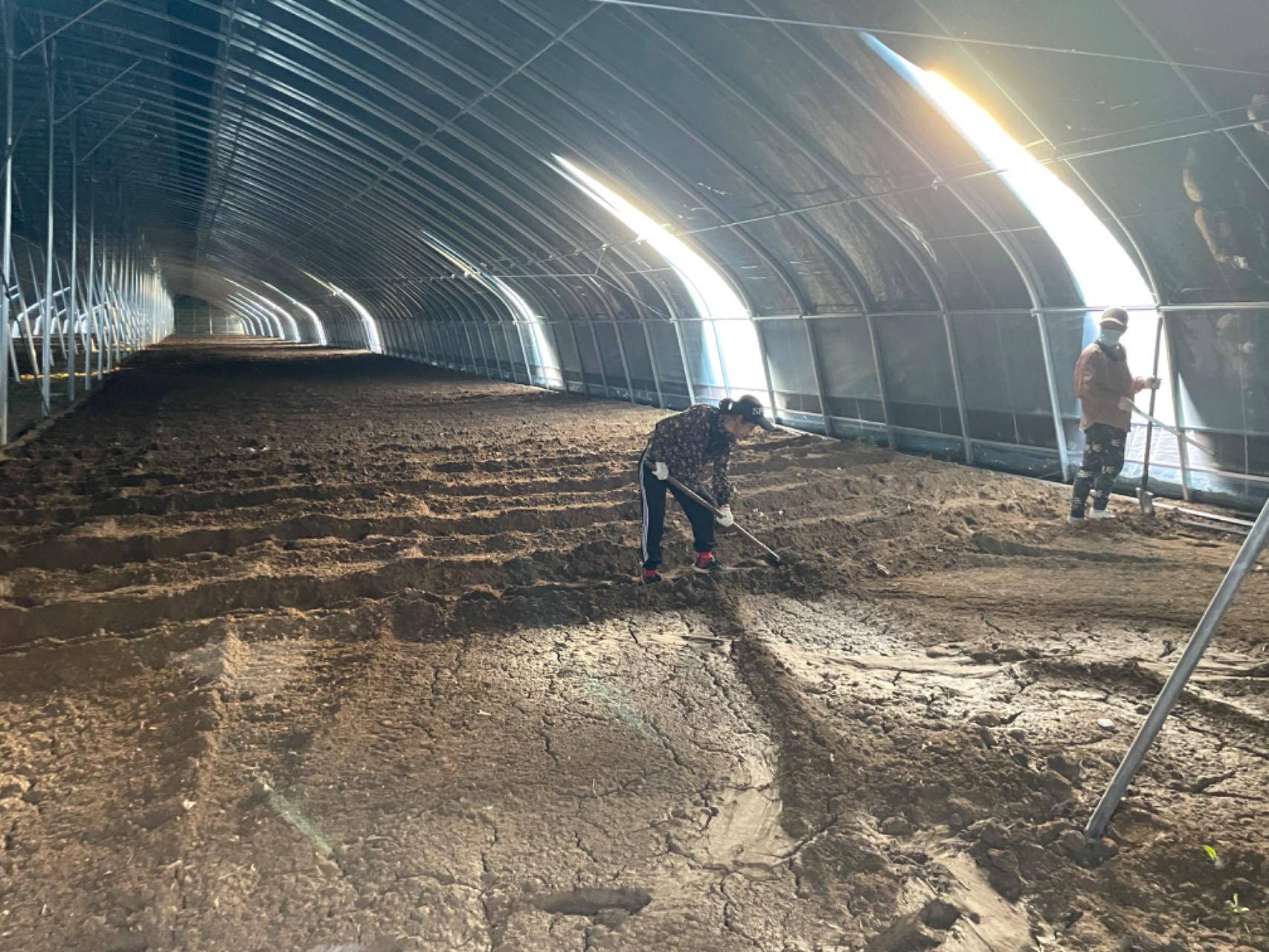 蔬菜大棚让老百姓的日子更红火,蔬菜大棚让农民致富