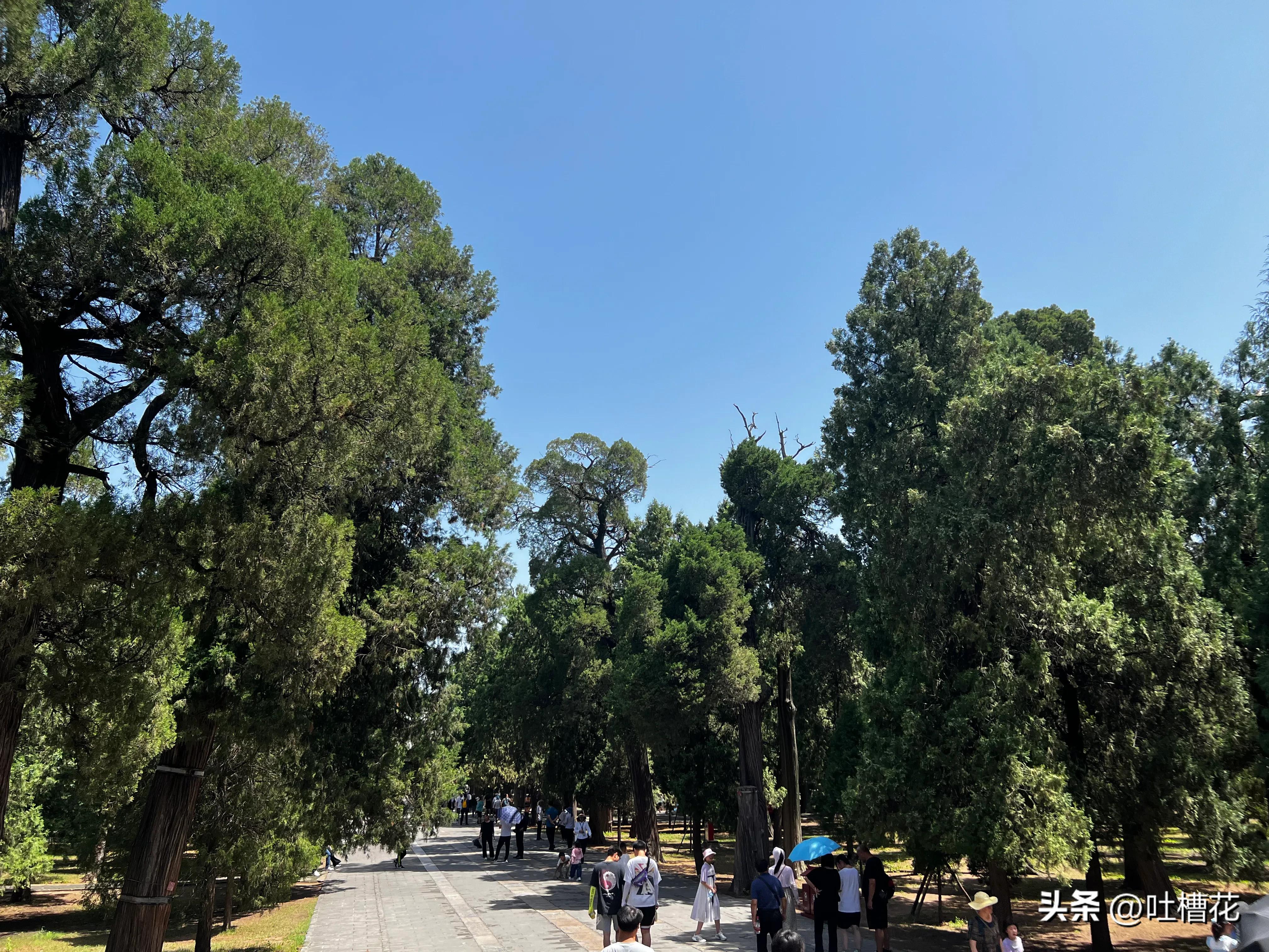 37℃，高温下逛完孔庙，孔子姓啥